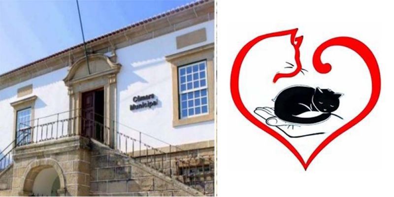 castelo-branco-assembleia-municipal-discute-petiyyo-da-canimais-de-ninguymc-amanhy