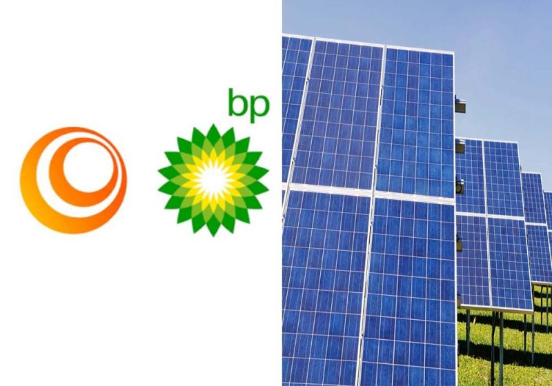 quercus-alerta-para-impactos-ambientais-graves-do-projeto-fotovoltaico-sophia