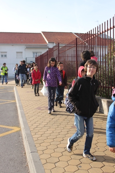 Castelo Branco: “DIA SEM CARROS – A pé para a Escola”