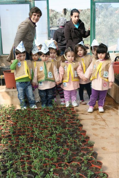 Proença-a-Nova: Entregues 201 plantas em troca de resíduos