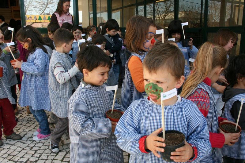 Proença-a-Nova: Entregues 201 plantas em troca de resíduos