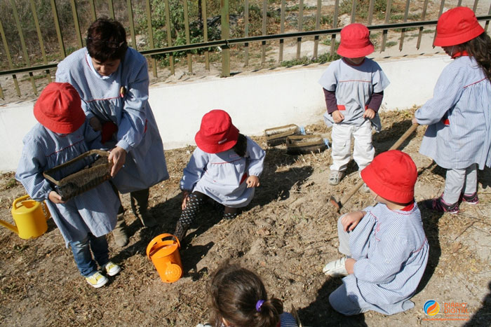 Castelo Branco: Agrupamento Cidade de C. Branco com dois projetos selecionados para Prémio Fundação Ilídio Pinho - Ciência na Escola