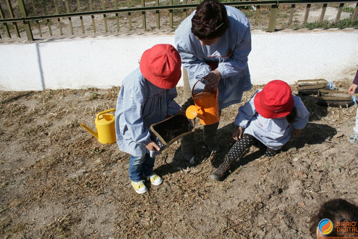 Castelo Branco: Agrupamento Cidade de C. Branco com dois projetos selecionados para Prémio Fundação Ilídio Pinho - Ciência na Escola