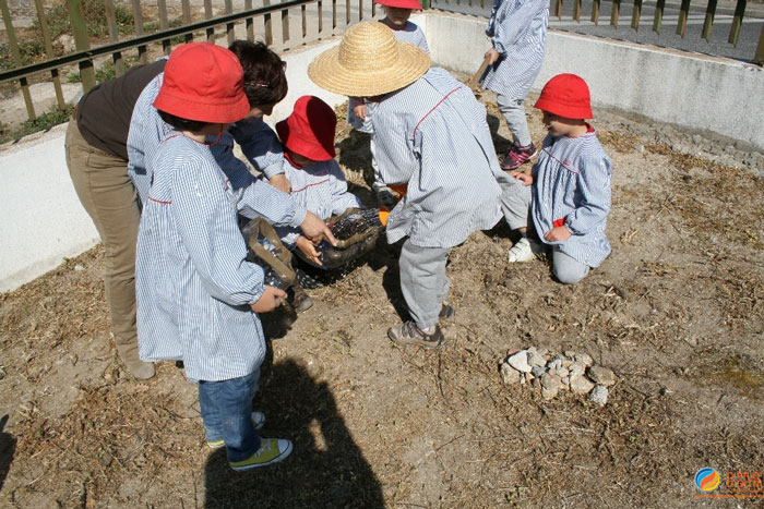 Castelo Branco: Agrupamento Cidade de C. Branco com dois projetos selecionados para Prémio Fundação Ilídio Pinho - Ciência na Escola