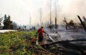 Incêndios: Governo já acionou PRODER para apoio ao pós-incêndio - Assunção Cristas
