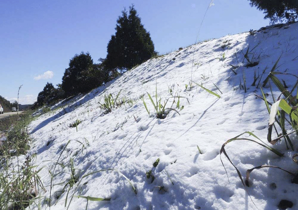 Castelo Branco: Neve deixa distrito em alerta amarelo