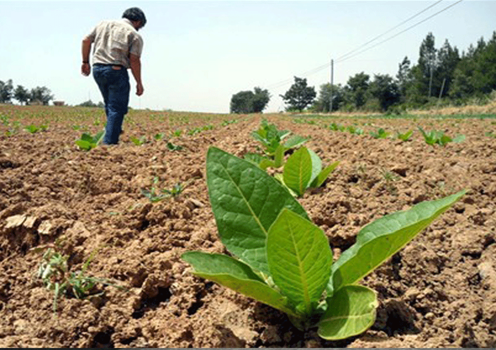 Fundão debate potencialidade e oportunidades do Território