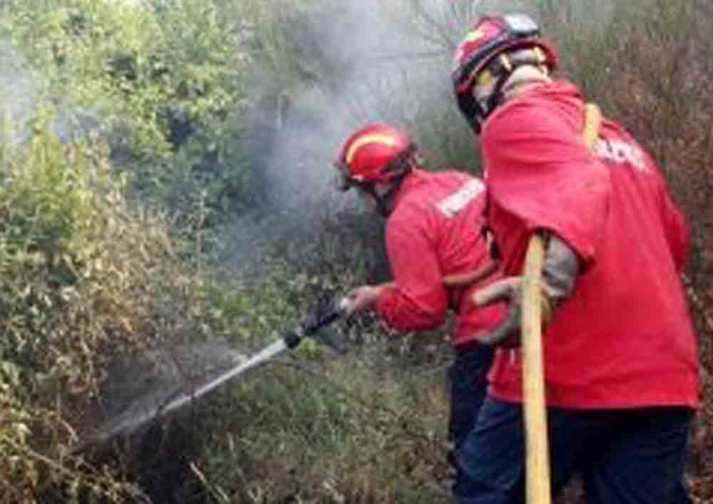 Fundão: Fogo em Enxames mobiliza 140 bombeiros