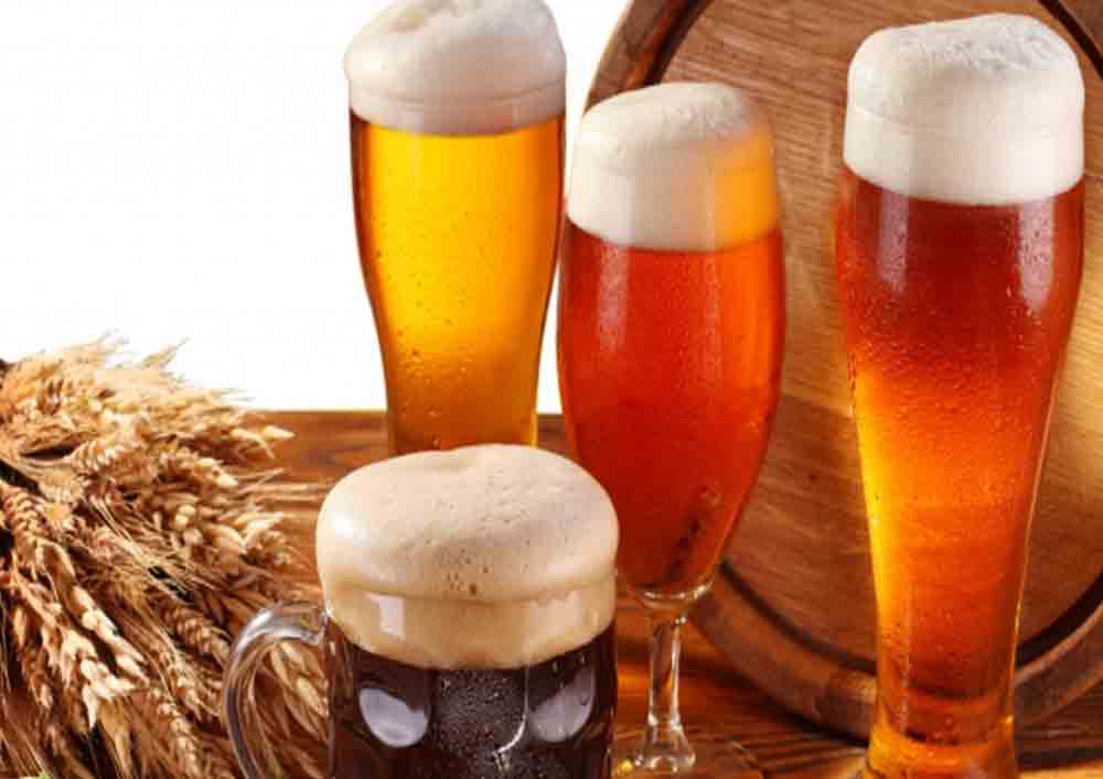 Sertã: Festival de Cerveja Artesanal Nacional leva concertos em agosto