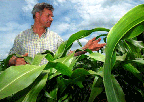 Castelo Branco: Politécnico e Câmara do Fundão inauguram Centro de Biotecnologia de Plantas da Beira Interior