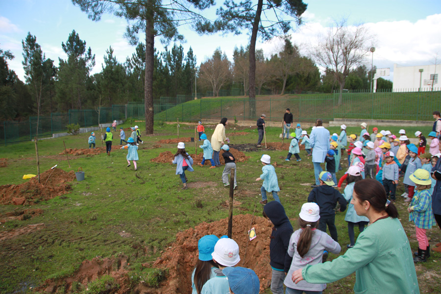 Sertã: Jardim de Infância plantou pomar “Heróis da Fruta”