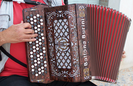 Sertã com concerto de acordeão na Alameda da Carvalha