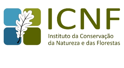 ICNF vai ilibar Misericórdia do Fundão no caso da destruição de ninhos