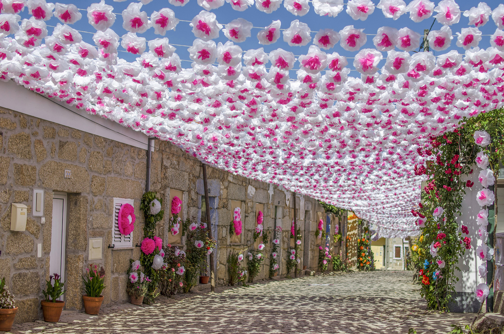 Idanha-a-Nova: Festival das Flores traz cor e animação a Aldeia de Santa Margarida