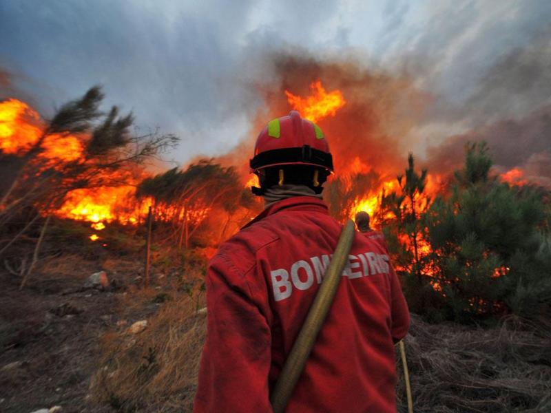 Incêndios: 90 toneladas de palha e feno disponíveis para animais de produção