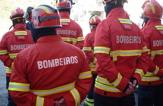 Distrito de Castelo Branco com concelhos em risco "Máximo" de incêndio