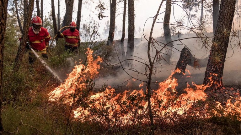 Incêndios: Fogo com duas frentes preocupantes em Proença-a-Nova