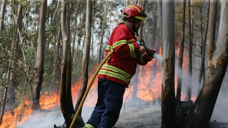 Incêndios: Fogo de Vila Velha de Ródão continua com várias frentes ativas