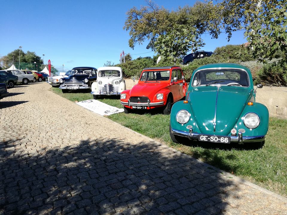 Castelo Branco : CAACB promove passeio à Feira do Azeite em Malpica