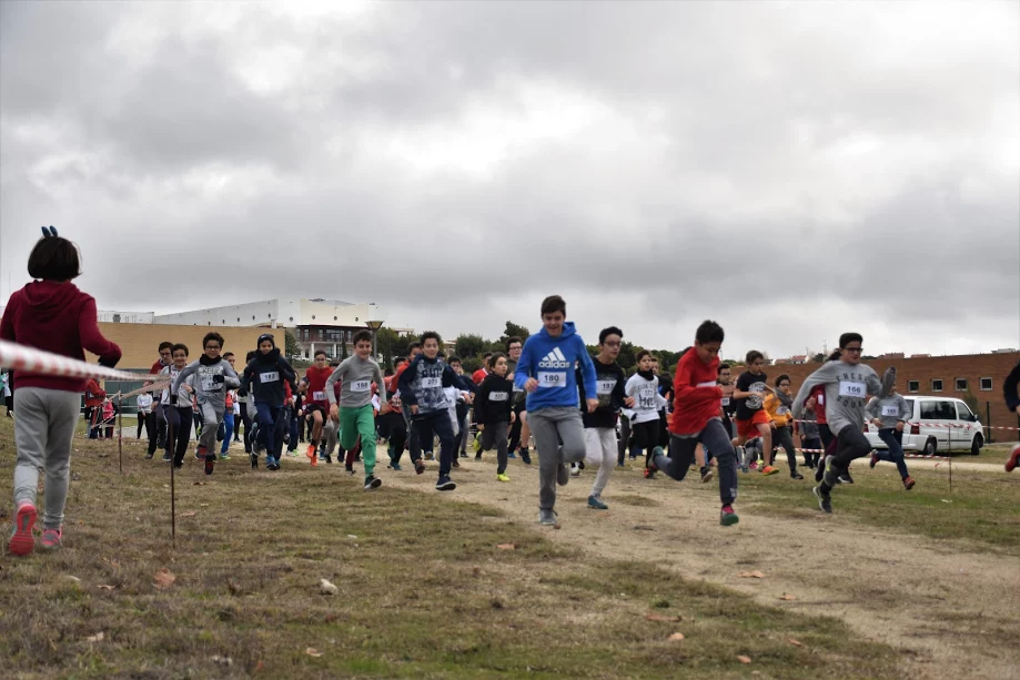 Castelo Branco: Agrupamento Afonso de Paiva participou no Corta-Mato Escolar 2017/18