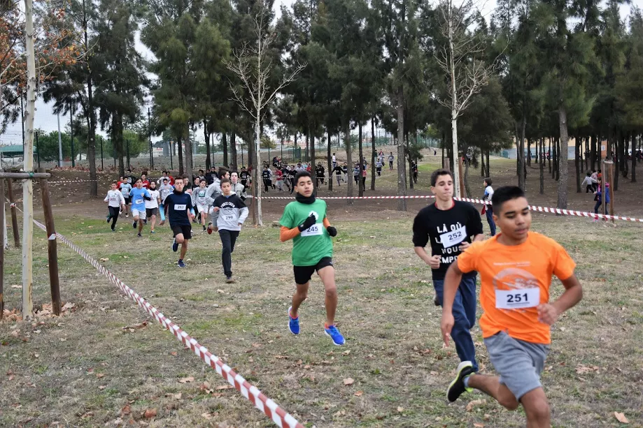 Castelo Branco: Agrupamento Afonso de Paiva participou no Corta-Mato Escolar 2017/18