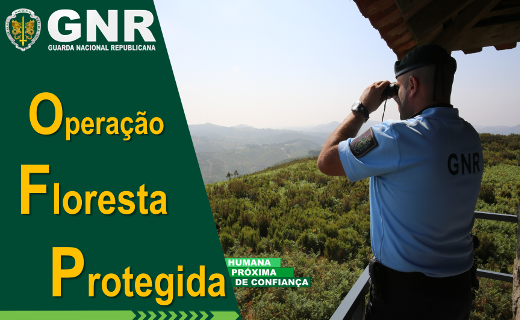 GNR inicia hoje operação "Floresta Protegida"