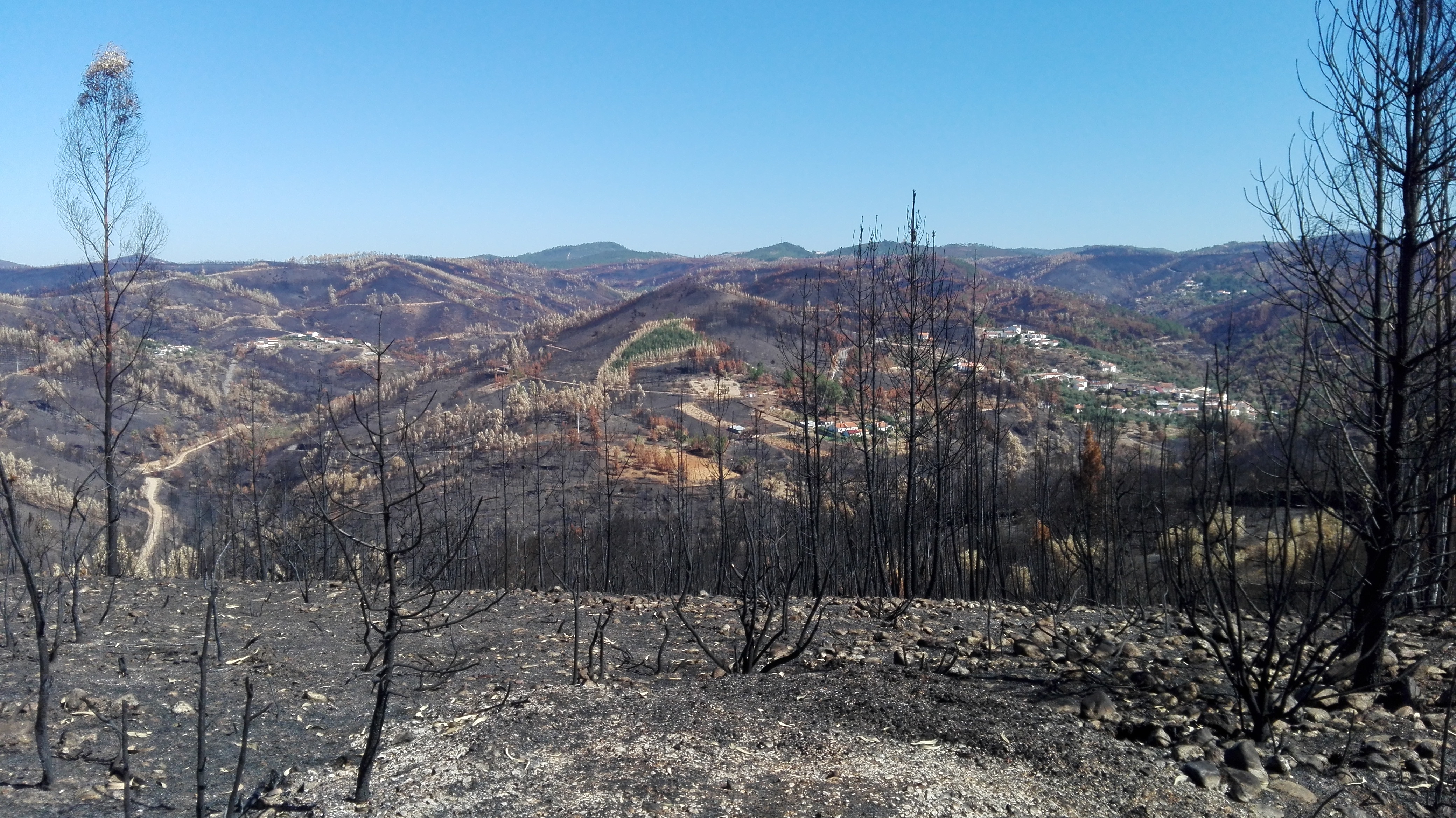 Segurança Social prestou 7.400 atendimentos e atribuiu 4ME em apoios às vítimas dos incêndios