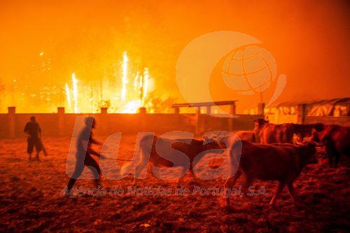 Incêndios: Aldeias vão ter "oficial de segurança"