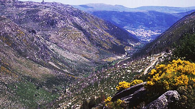 Voluntários vão recolher lixo deixado durante o inverno na Serra da Estrela