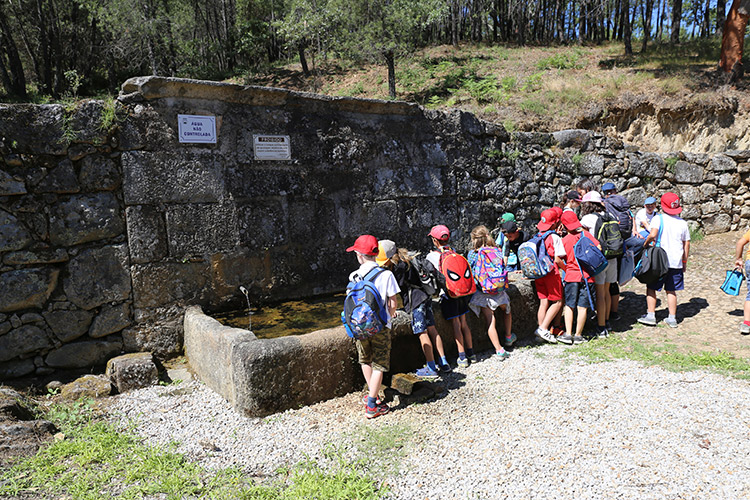 Penamacor: Academia Explorar e Aprender com inscrições abertas para o verão