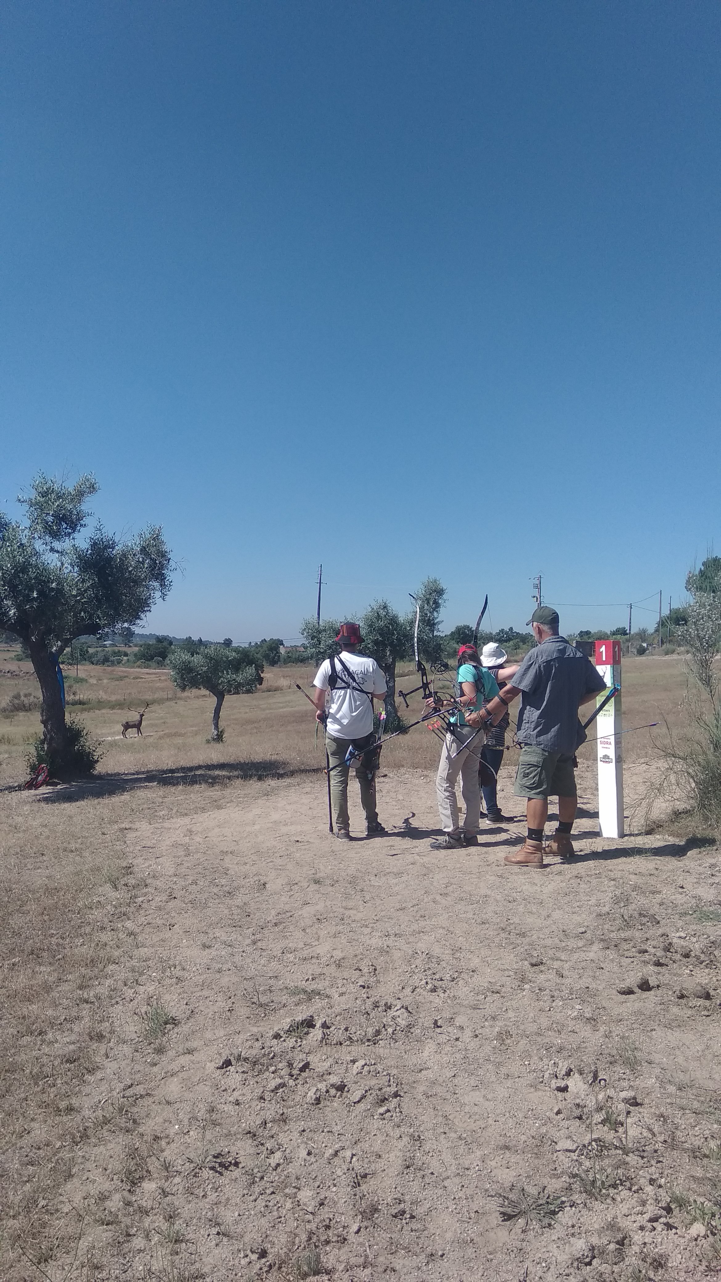 Castelo Branco: Raia Aventura organiza prova de tiro com arco para o Campeonato Nacional