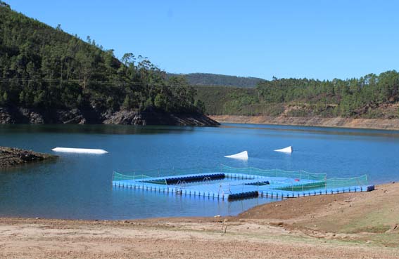 Vila de Rei: Experiências náuticas gratuitas na Praia Fluvial de Fernandaires a 25 e 26 de agosto