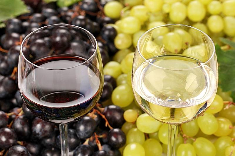 Beira Interior prevê quebra de cerca de 40% na produção de vinho