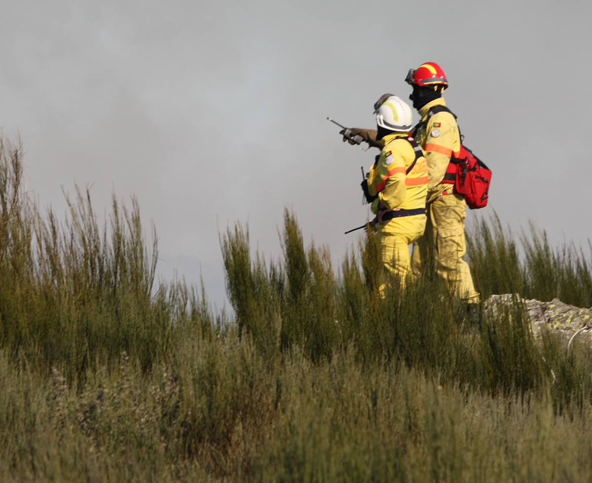 Incêndios: Proteção Civil apela à população para que não tenha comportamentos de risco