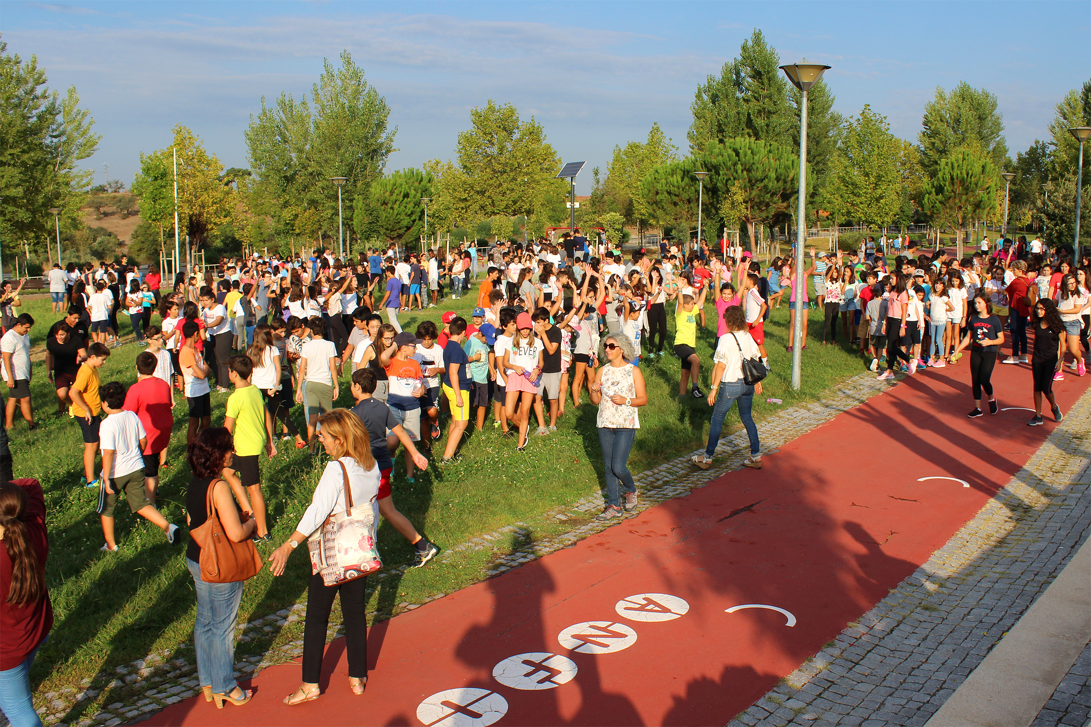 Castelo Branco: Afonso de Paiva assinala Dia Europeu do Desporto Escolar