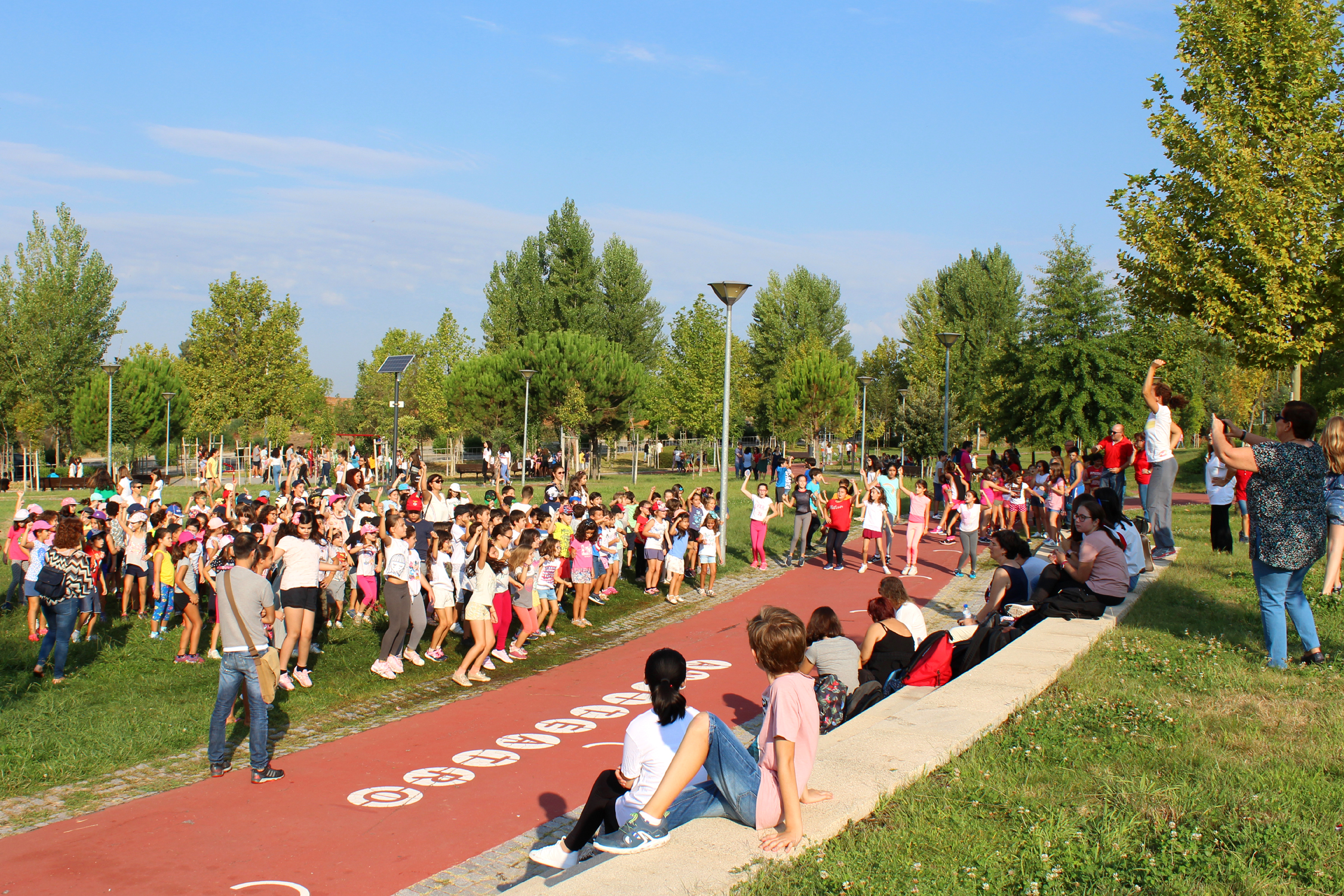 Castelo Branco: Afonso de Paiva assinala Dia Europeu do Desporto Escolar