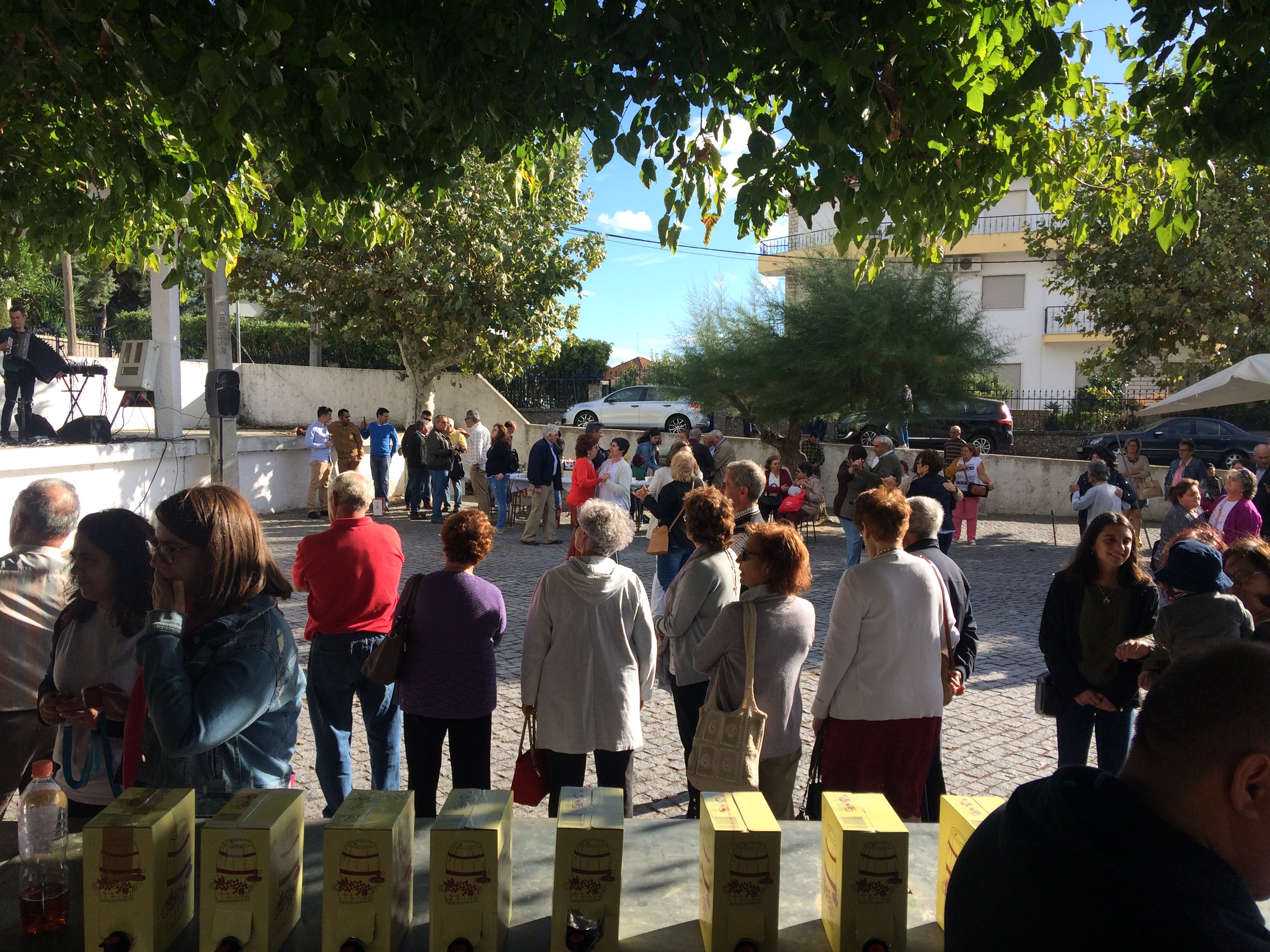 Póvoa de Rio de Moinhos: Tradição cumpre-se com a Feira Anual