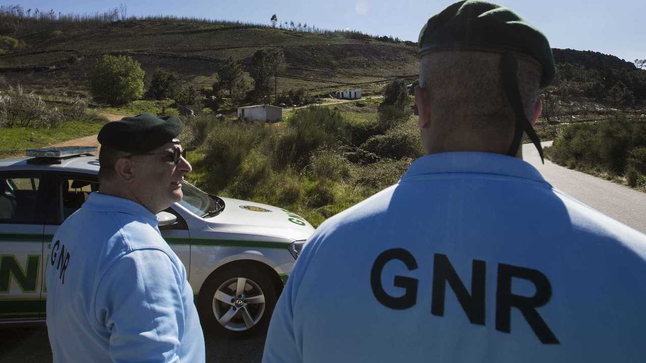 GNR detém quatro pessoas por caça ilegal em Castelo Branco e em Alcobaça