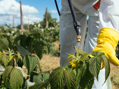 Cann10-Portugal investe em Vila de Rei e cria 100 postos de trabalho