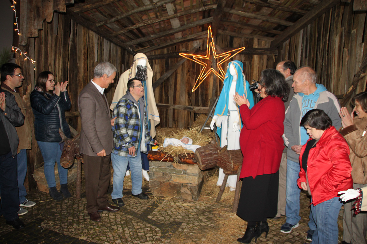 Sertã, a Terra do Pinheiro de Natal