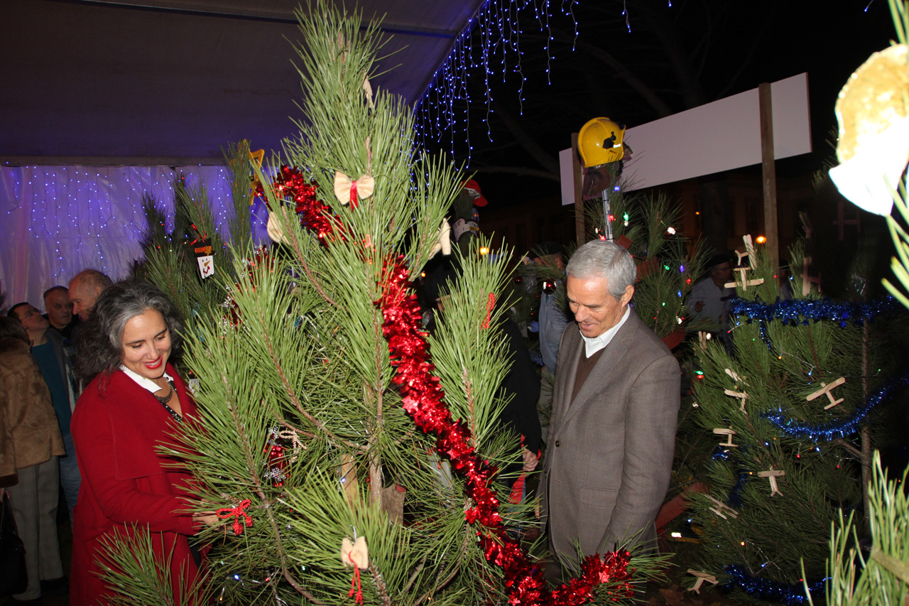 Sertã, a Terra do Pinheiro de Natal