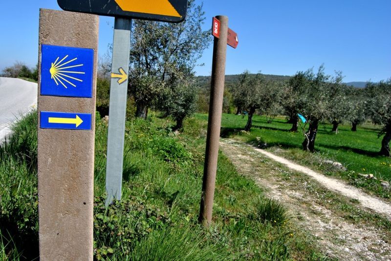 Turismo Centro de Portugal aplaude promoção do Caminho Português de Santiago