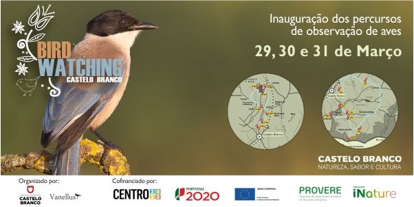 Castelo Branco: Autarquia lança Percursos de Observação de Aves