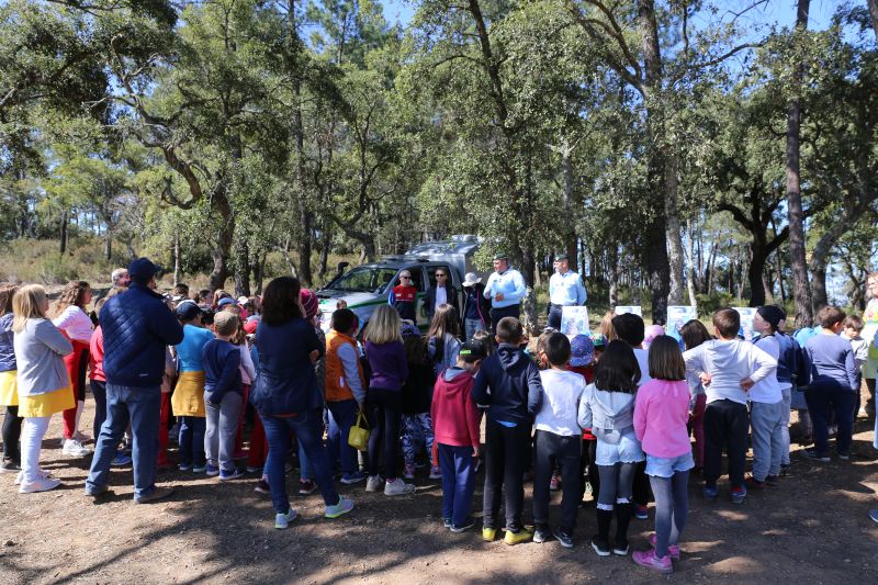 Penamacor assinalou Dia Internacional da Floresta