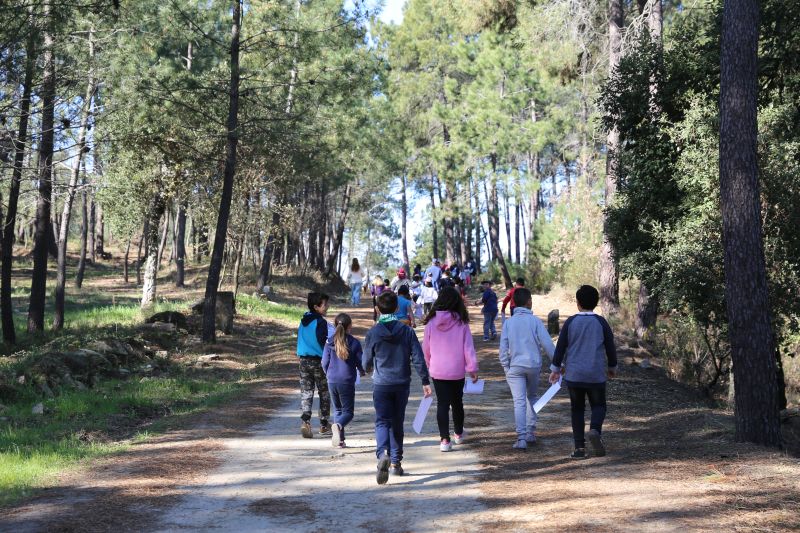 Penamacor assinalou Dia Internacional da Floresta