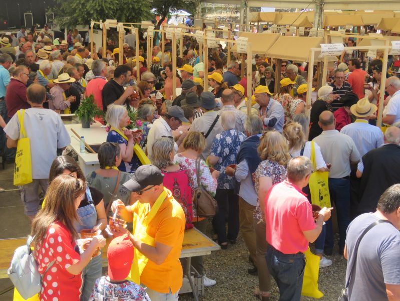 Idanha-a-Nova: Multidão rumou ao Festival de Proença-a-Velha com 113 Sopas a concurso