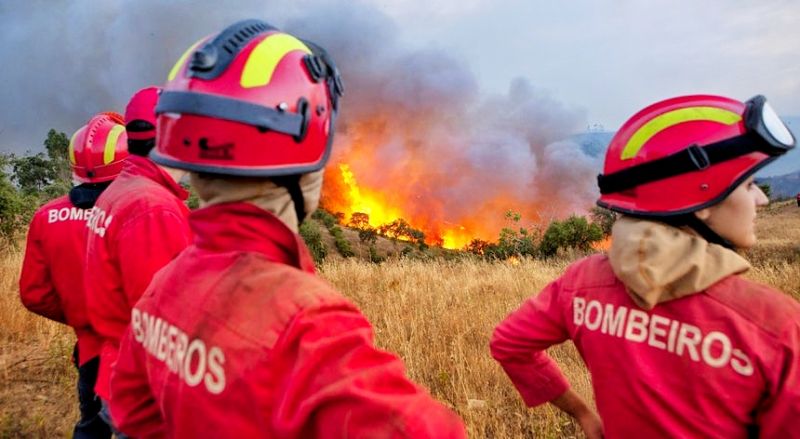 Incêndios: Mais de 2500 operacionais e 26 meios aéreos combatem chamas no país