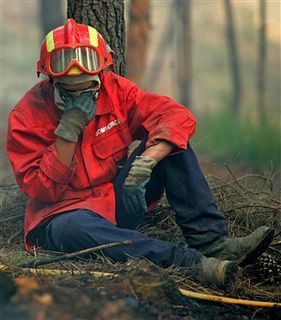 Incêndios: Seis bombeiros e um civil sofreram ferimentos no combate ao fogo na Sertã