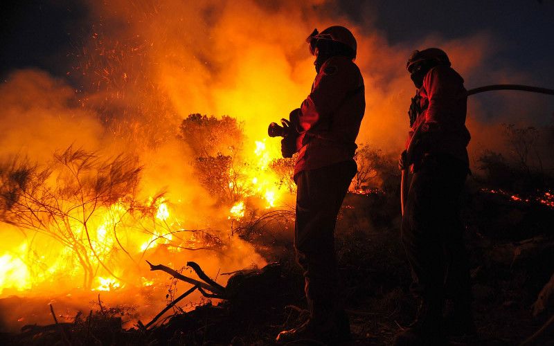 Incêndios: Aumenta para dez número de feridos no fogo da Sertã, nove bombeiros e um civil