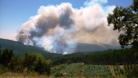 CDU de Castelo Branco manifesta-se sobre incêndio no concelho da Sertã
